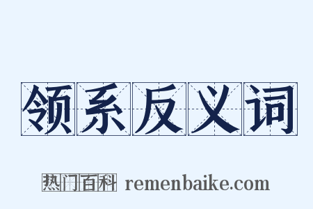 领系反义词是什么意思的图片